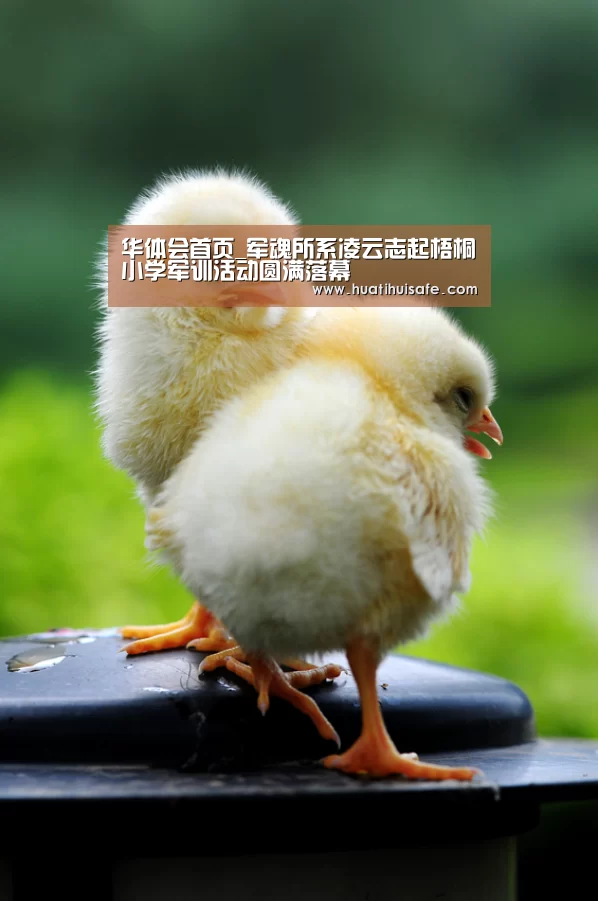 华体会首页