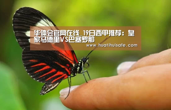 华体会官网在线