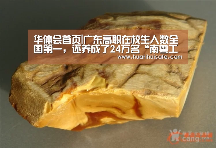 华体会首页|广东高职在校生人数全国第一,还养成了24万名“南粤工匠”(图1) 华体会官网在线