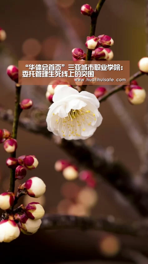 “华体会首页”三亚城市职业学院:委托管理生死线上的突围(图3) 华体会登录入口